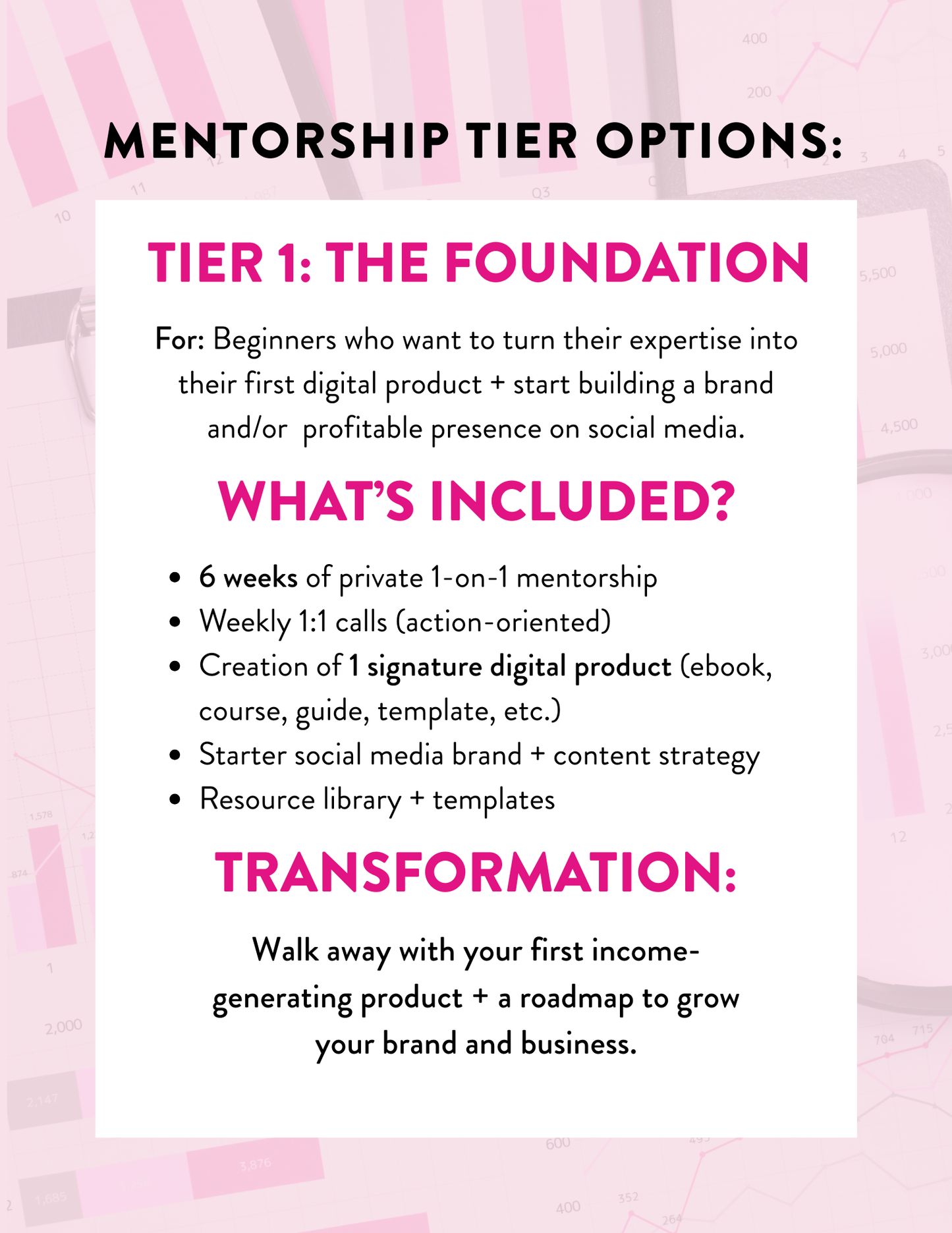 Personal 1:1 Mentorship Program